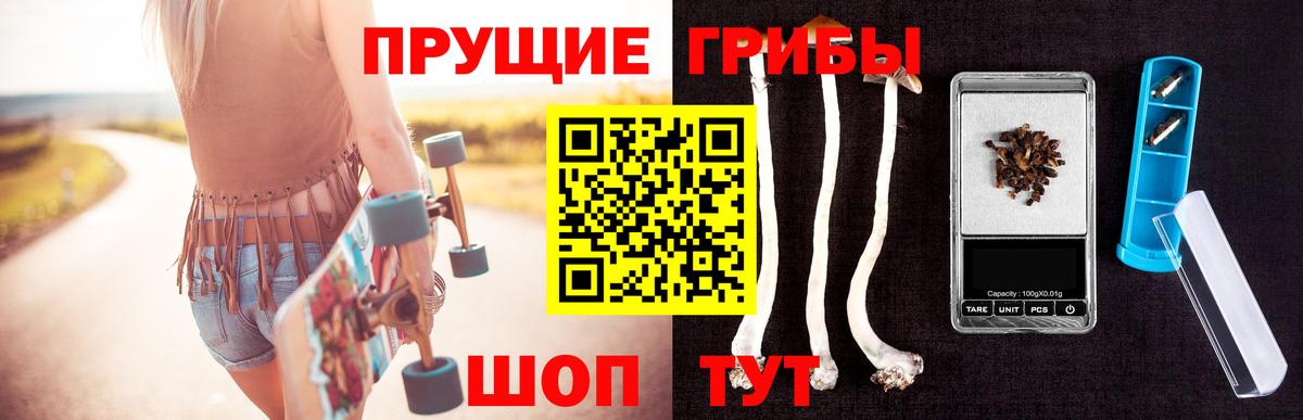 Псилоцибиновые грибы мицелий Алатырь