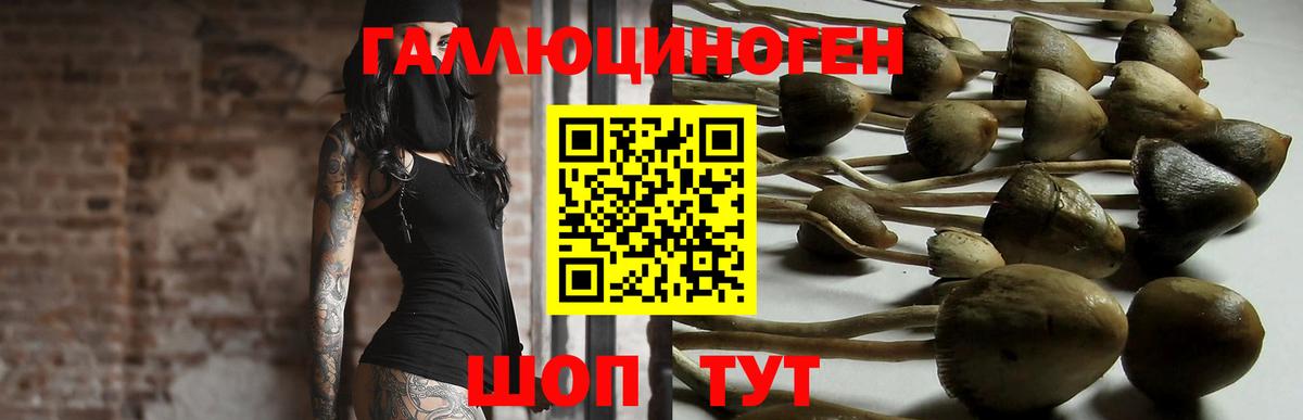 Псилоцибиновые грибы мухоморы  Вход с VPN  Алатырь  Галлюциногенные грибы Psilocybine cubensis 
